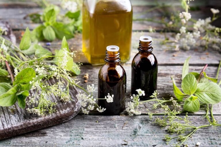 Griffonia Simplicifolia : Bienfaits, Dangers et guide d'utilisation 10 Griffonia Simplicifolia : Bienfaits, Dangers et guide d'utilisation